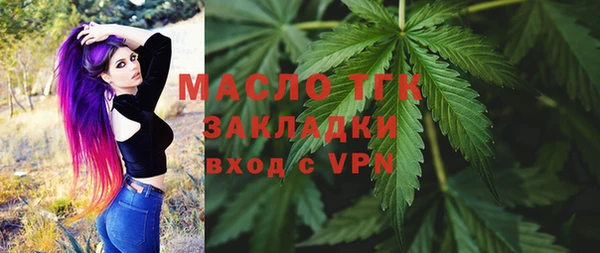 твердый Лагань