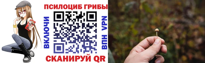 Псилоцибиновые грибы Psilocybine cubensis  Лысково 